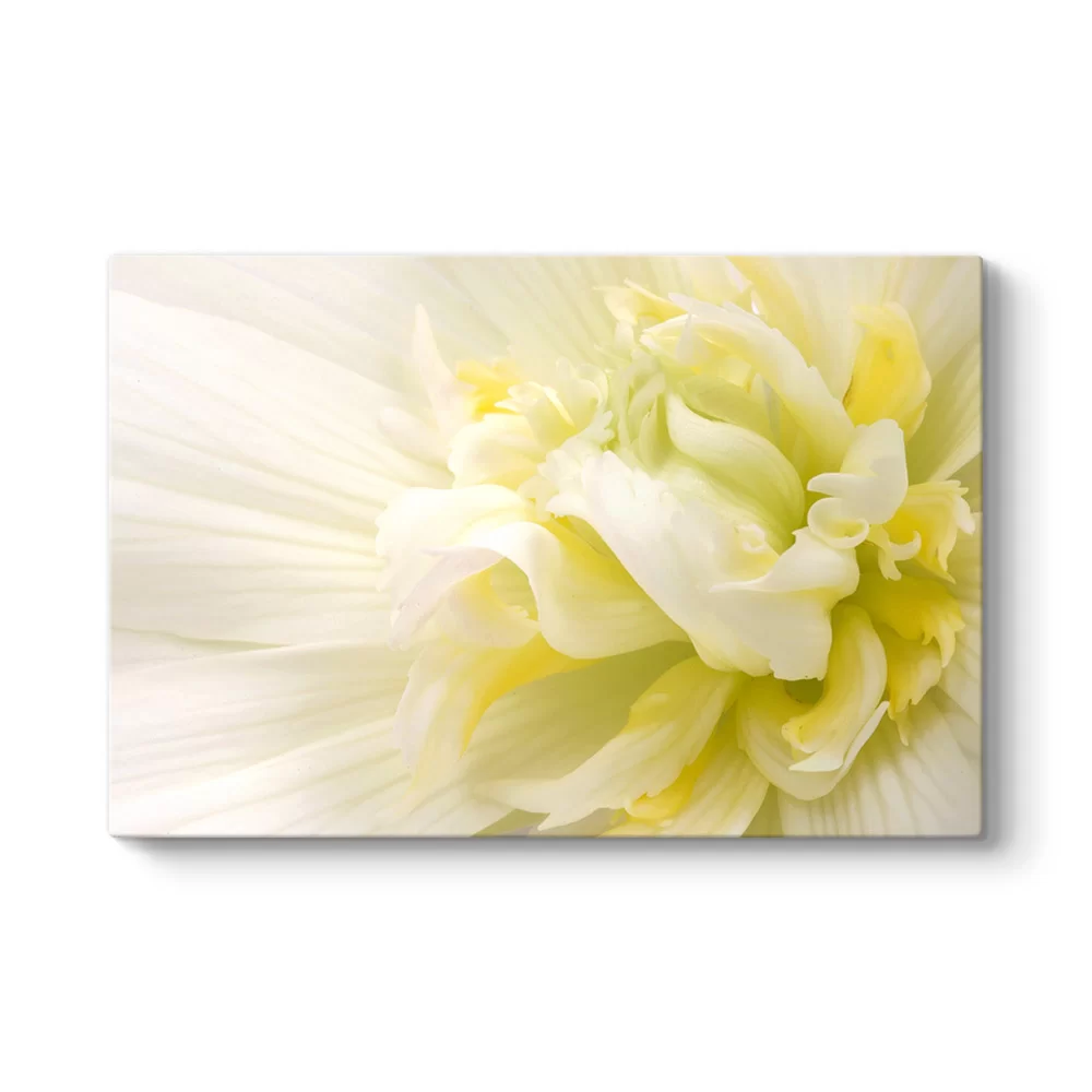 White Flower III Tablosu - Model 1